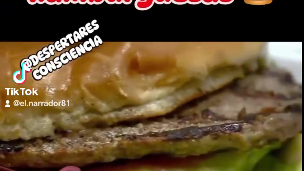 RESTOS DE ADN DE RATAS Y TAMBIÉN DE CARNE HUMANA EN LAS HAMBURGUESAS QUE ASQUEROSOS