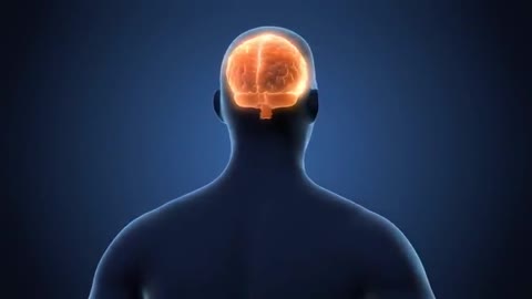 The Bible and Science Agree; God Gave Them Over to a Reprobate Mind