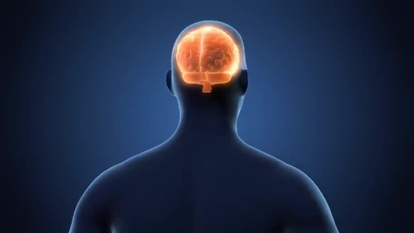 The Bible and Science Agree; God Gave Them Over to a Reprobate Mind