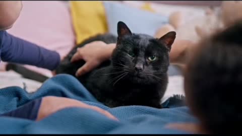 A cute baby and cat funny moment
