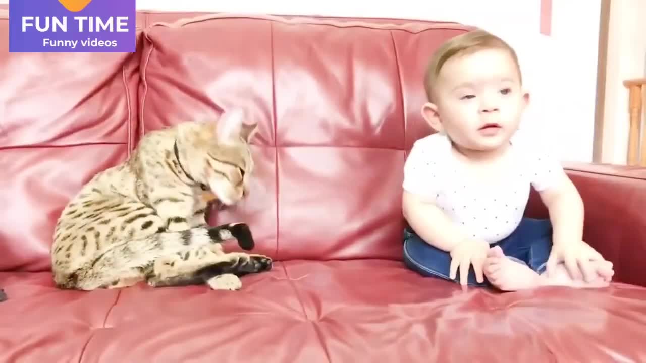 Baby play with cat funny videos