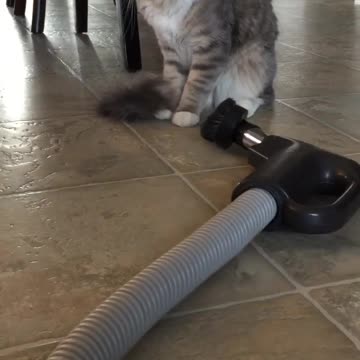 I’ve learned to face life’s annoyances and fears with calmness, courage, and confidence...