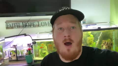 The Solution to Police Brutality RIP George Floyd IMPORTANT VIDEO!