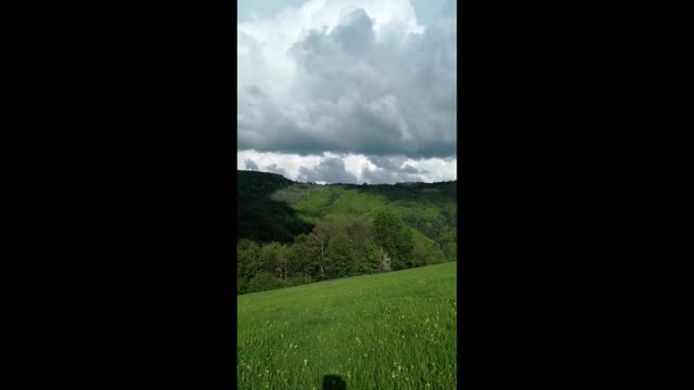 Refreshing Spring Walk with little dog "Hachiko" 🐕 on Countryside🌄 🗺