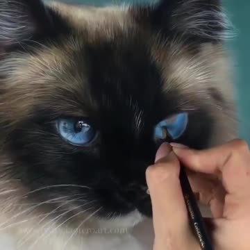 Could you believe that this is a drawing 😮😮