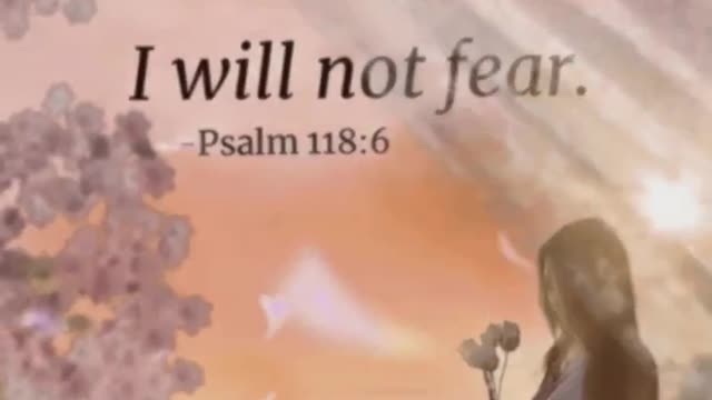 Bible Study 041.