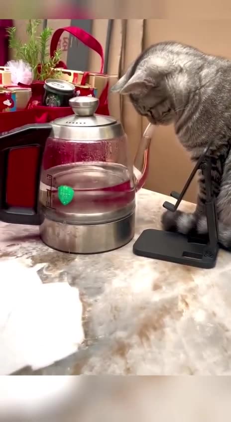 I have no idea what’s going on here!!! 😂😂