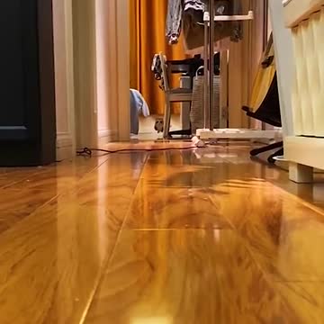 I’ll show you my magic.