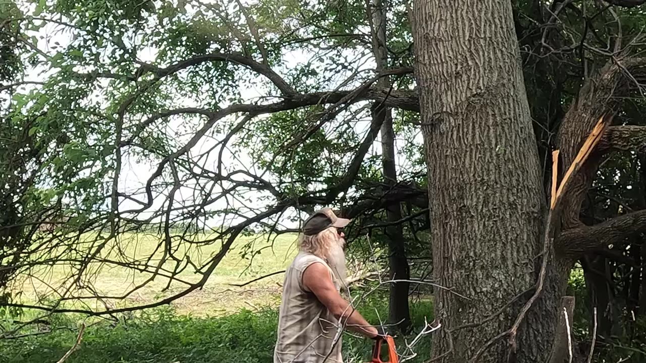 Old man and the kid - episode 11 of season 15 #logging #reality #show