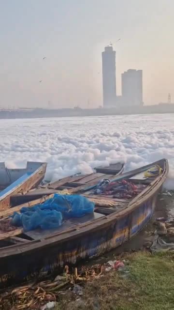 India | Toxic foam floats on the surface of the Yamuna River in Kalindi Kunj, New Delhi ~ Reloaded from World of Signs