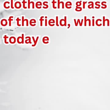 “God’s Care for Creation” Matthew 6:30.#shortsvideo #shorts #youtube #youtubeshorts #yt #ytshorts