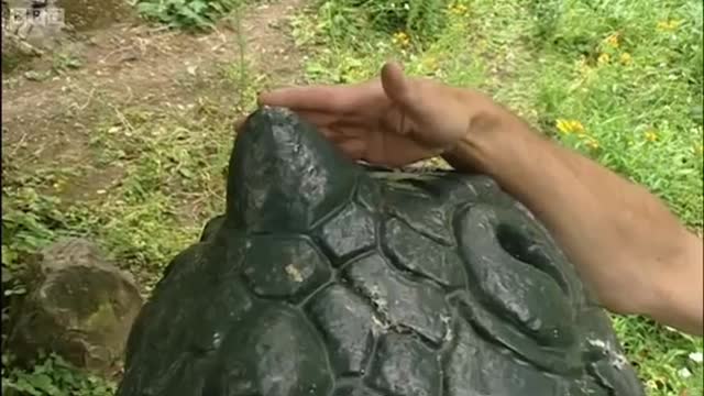 The Making of Walking with Dinosaurs in HQ Part 2 | BBC Earth