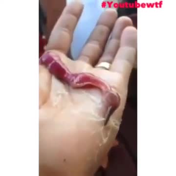 I believe more and more that the pri