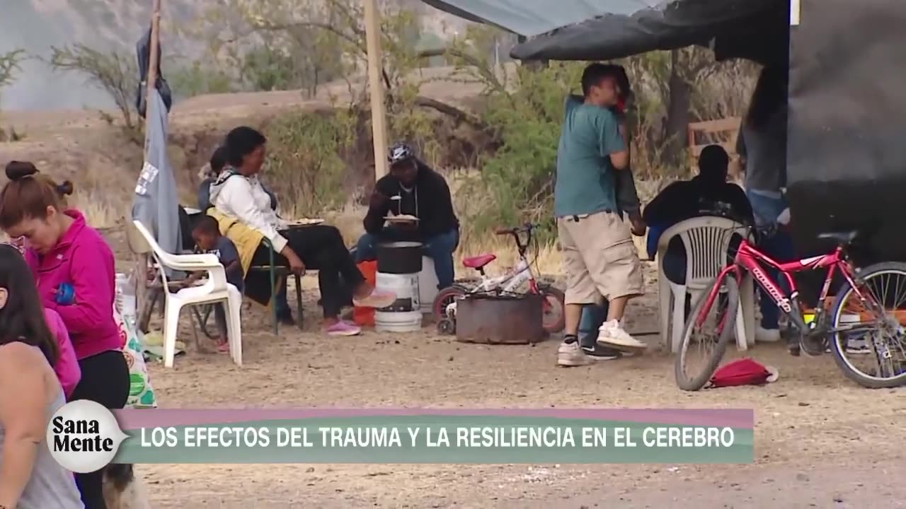 La pobreza y el trauma infantil: un impacto silencioso en el desarrollo cerebral | Sana Mente