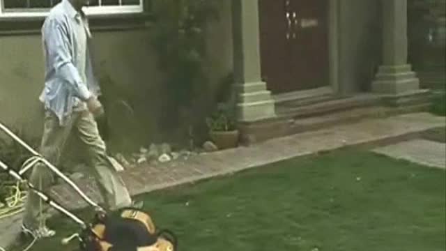 MY NEW TOYOTA LAWN MOWER