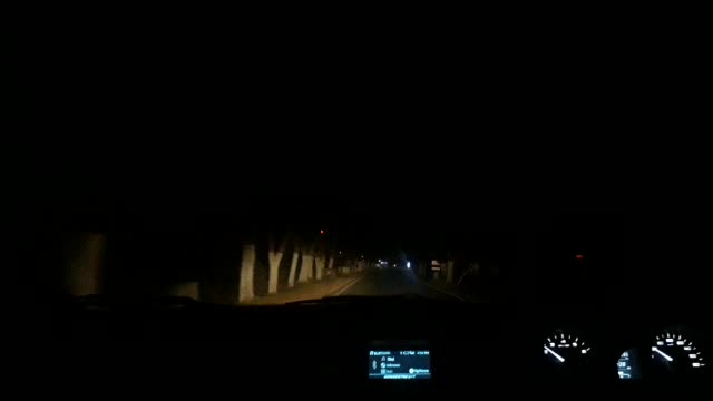 Jungle Night Car Trip With Friends !!!!!!