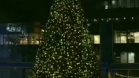 90 Ft. Christmas Tree