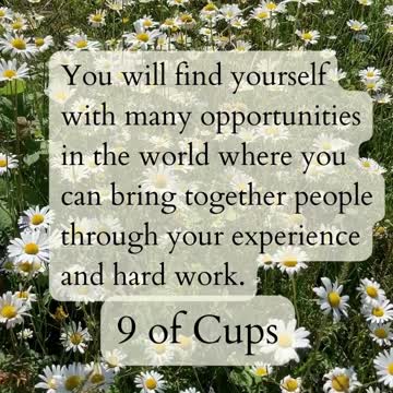 3 of Wands to 9 of Cups 2022-11-21