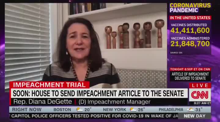 Dem Impeachment Manger Can't Cite Constitution For Impeaching Trump