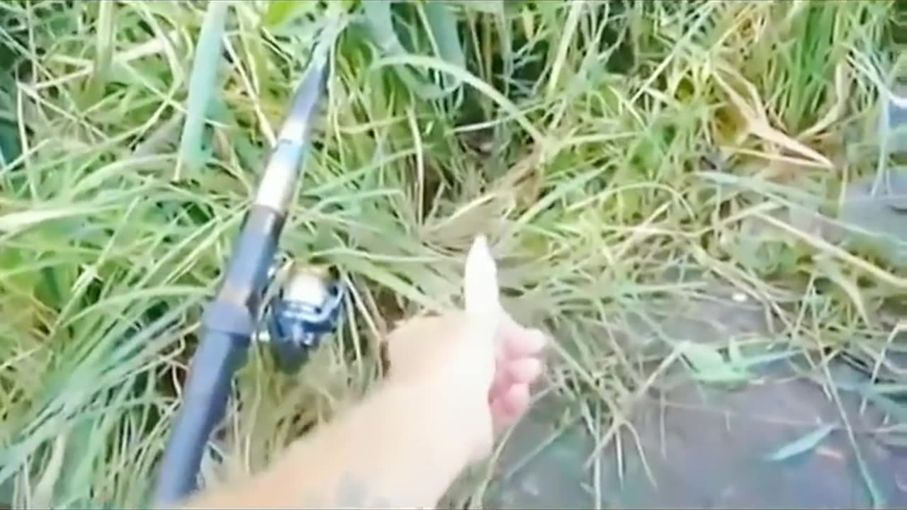 Funny video / vidio Lucu Saat memancing ikan Tertawalah sebelum tertawa itu dilarang