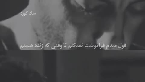 تنهاست