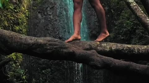 A Woman Wearing A Swimsuit Walking On Top Of A Tree Trunk