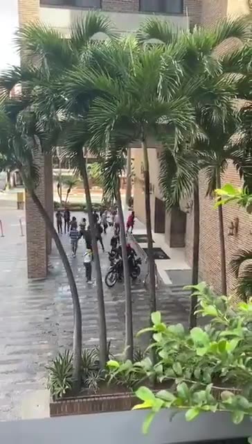 Venezuela estado fallido