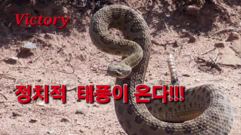 220824...정치적 태풍이 온다!!!