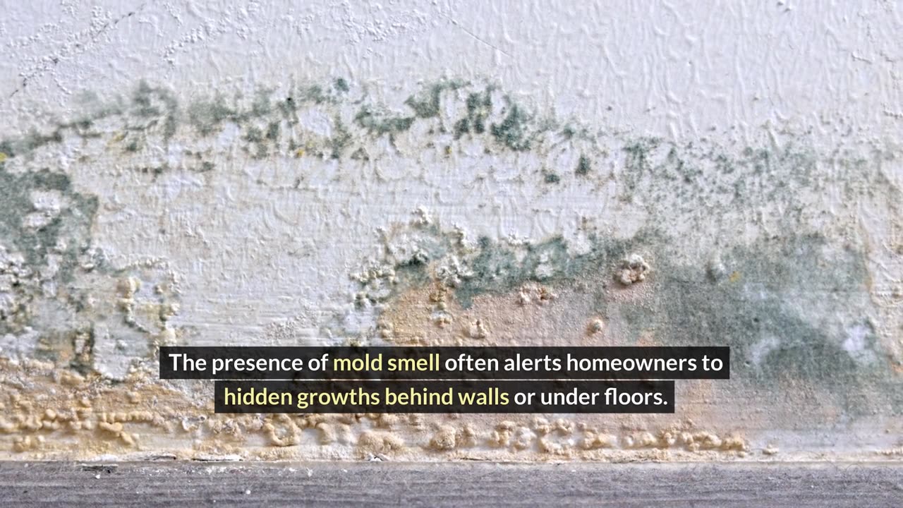 What Causes Mold Smell?