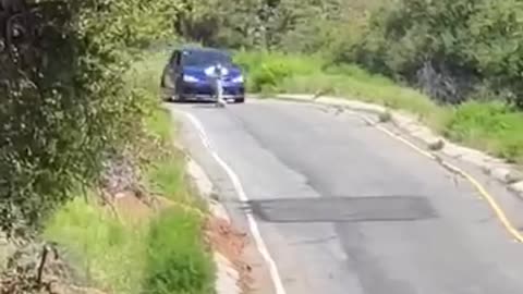 FUNNY STUFF