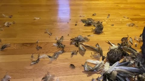 Dog Discovered What Was Hiding in the Chimney
