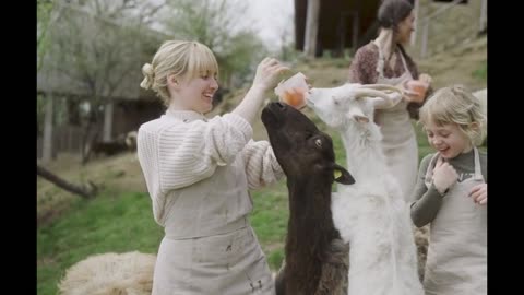 Beautiful sheep, I don't know if it tastes good