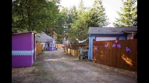 Shelter Builds Private Cottages For Dogs, Because Animals Shouldn’t Live In Cages