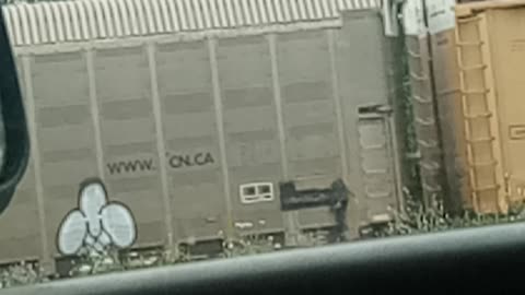 Graffiti Crossing