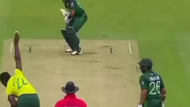 fans-video cricket lovers-video #cricket #cricketlover