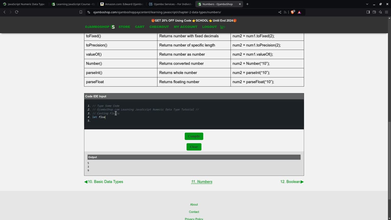 JavaScript Numeric Data Type