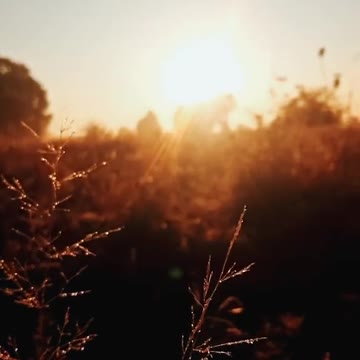 Nature природа волшебника