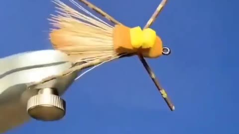 This is a beautiful and charming water-dwelling species