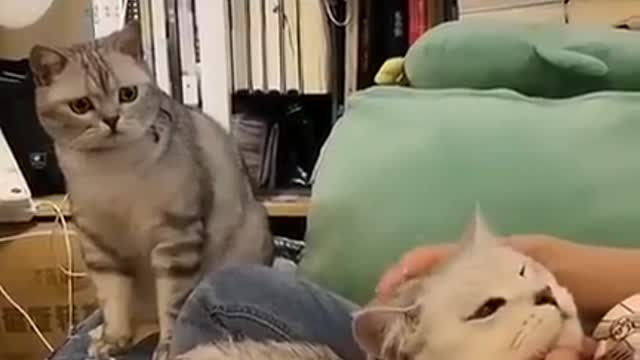 That look speaks volumes