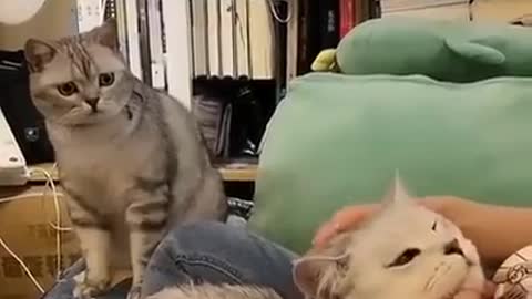 That look speaks volumes