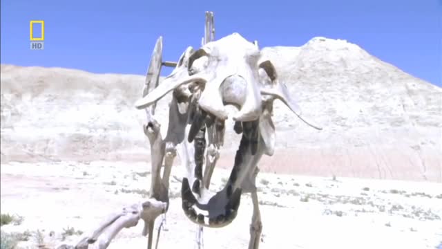 National geography || documentary prehistory || wild life.