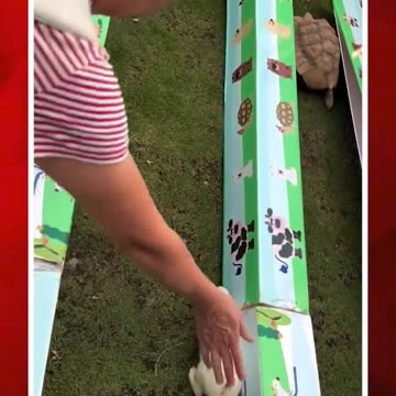 కుందేలు-తాబేలు కథ నిజమే.. ఇదిగో ప్రూఫ్ #rabbit #tortoise #runningrace #viralvideo | FBTV NEWS