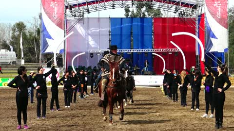 Semana De La Chilenidad in Santiago, Chile