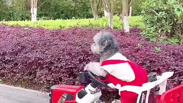 He is strong 😮😮😮 #Shorts