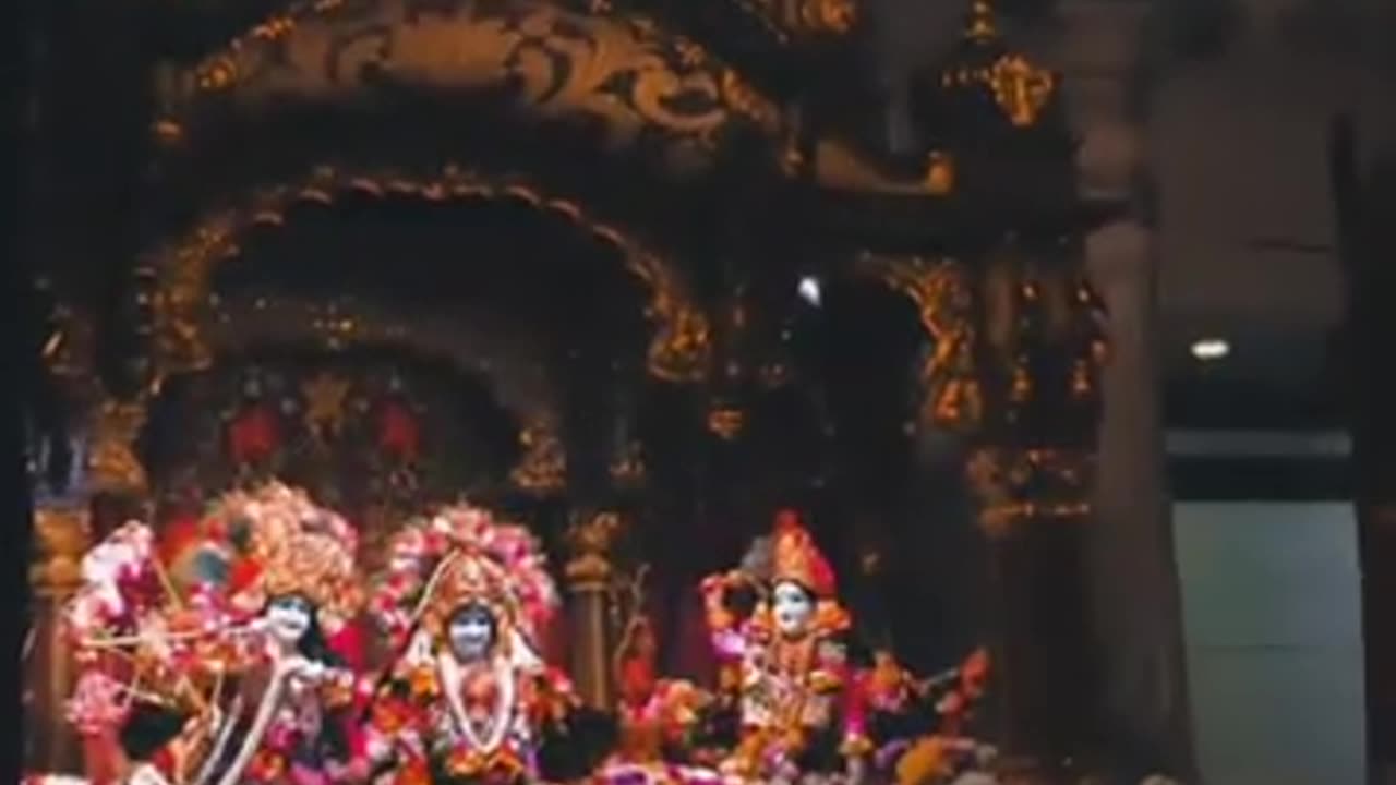 radhe radhe barsane wali radhe🙏#shorts#shortsvideo#youtubeshorts#vrindavan#radhakrishna#radheradhe