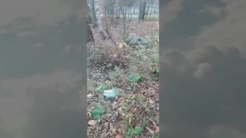 Videos I Found on Reddit 142