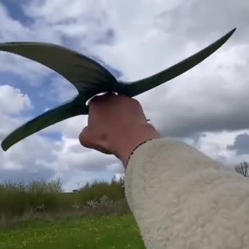 AMAZING GAME BOOMERANG 🤩 | HQ