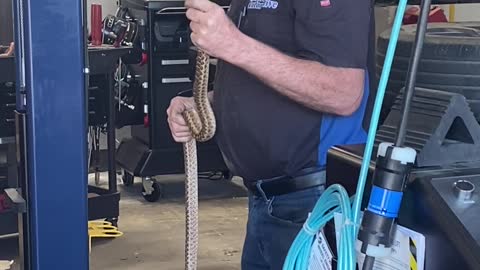 Mechanic Calmly Removes Snake During Car Service