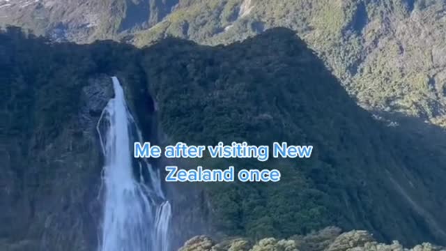 Me after visiting NewZealand once