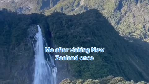 Me after visiting NewZealand once